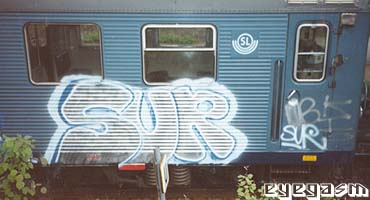 sur01.jpg