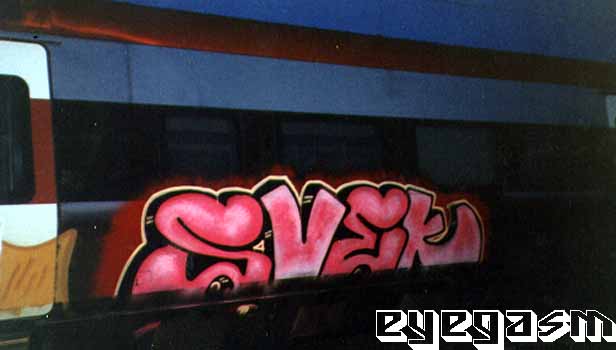 svek01.jpg
