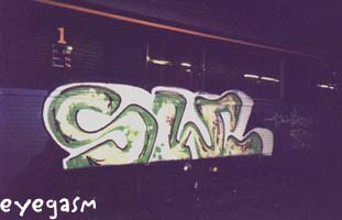 sw04.jpg