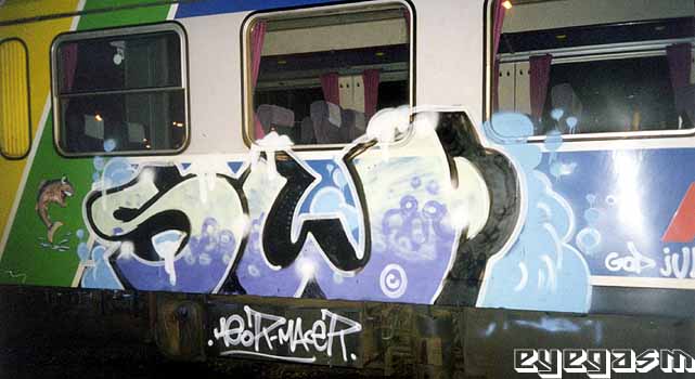 sw07.jpg
