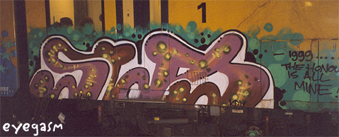 swa02.jpg