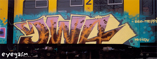 swa03.jpg