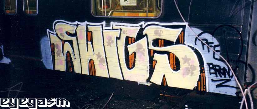 swigs03.jpg