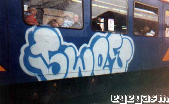 swoe01.jpg