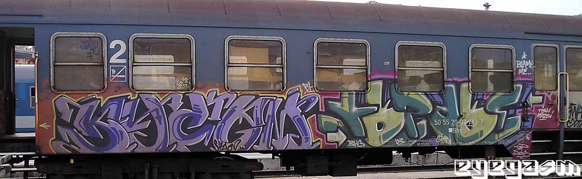 syctem-topdog01.jpg