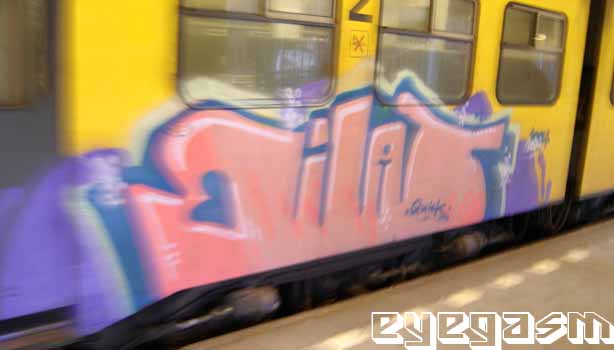 talib02.jpg