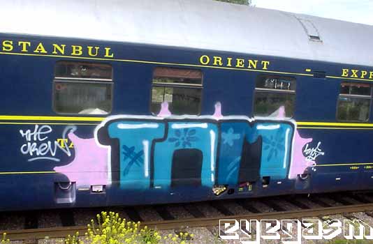 tam01.jpg