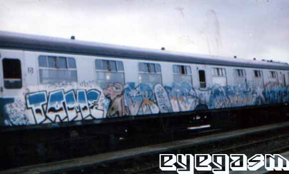 tame-grave01.jpg