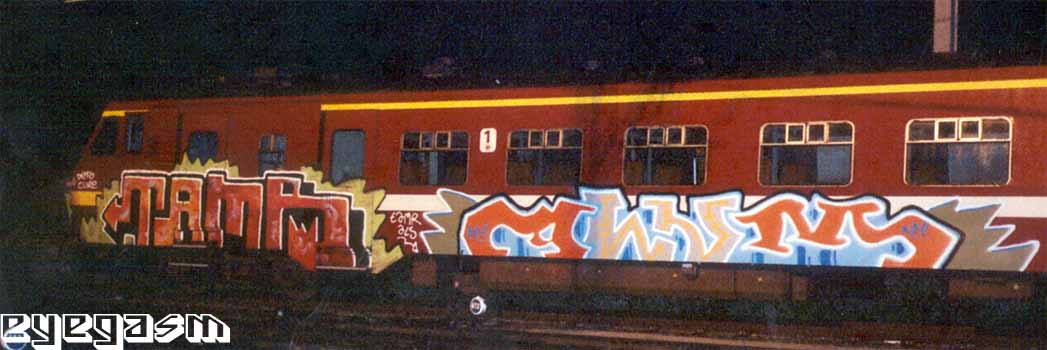 tamr-alum01.jpg