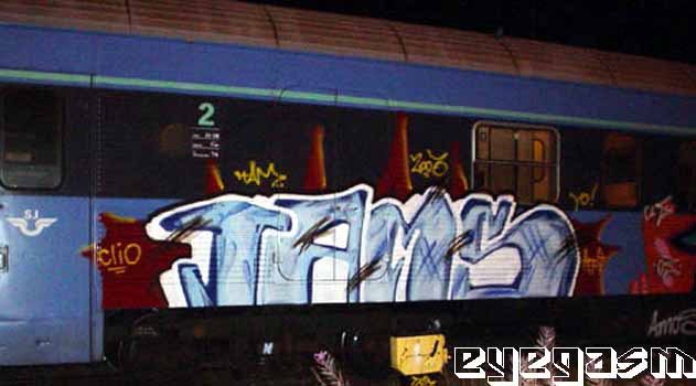 tams01.jpg