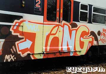 tang01.jpg