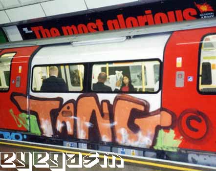tang03.jpg