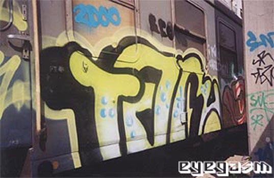 tar01.jpg