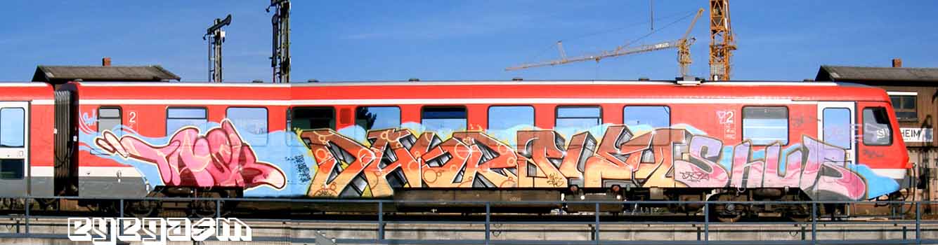 task-daor-pista-shur01.jpg