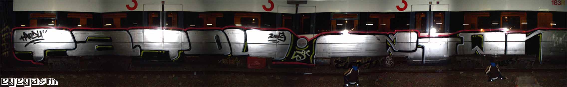 tatou-zion01.jpg