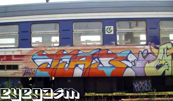 taz01.jpg