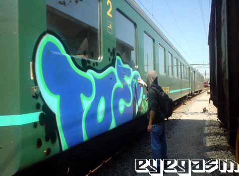 tde01.jpg
