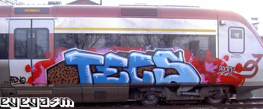 tecs01.jpg