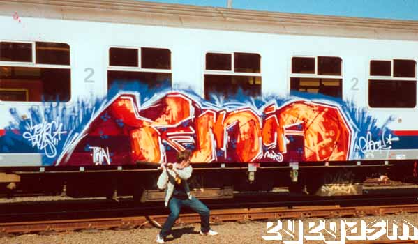 tenia01.jpg