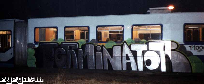 terminator01.jpg