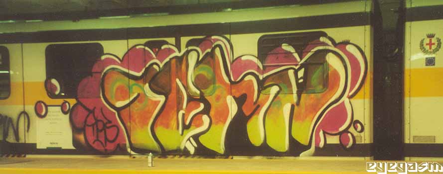 tern01.jpg