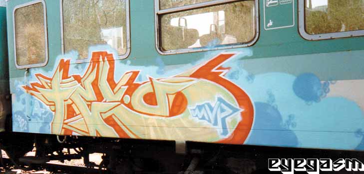 tex01.jpg