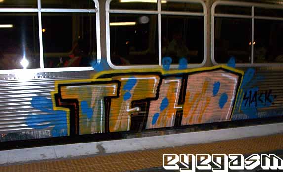 tfh01.jpg
