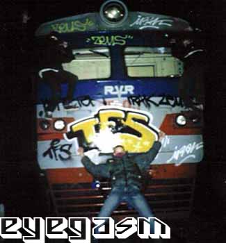 tfs01.jpg
