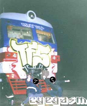 tfs02.jpg