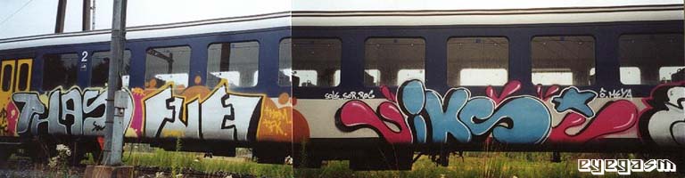 thas-fuel-iks01.jpg
