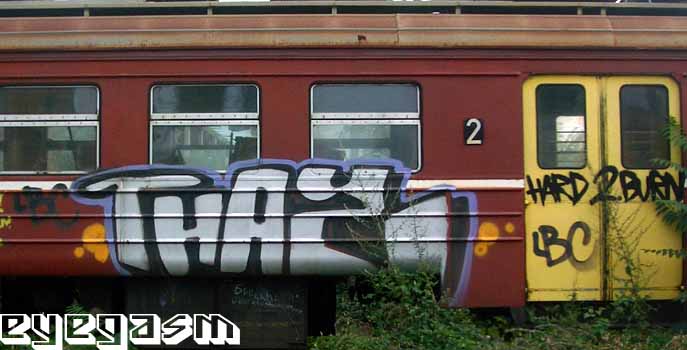 thaz01.jpg