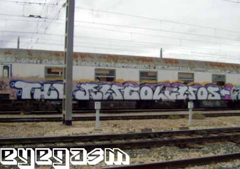 the-racolgaos01.jpg