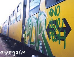 thedr01.jpg