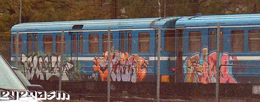 tier-sin01.jpg