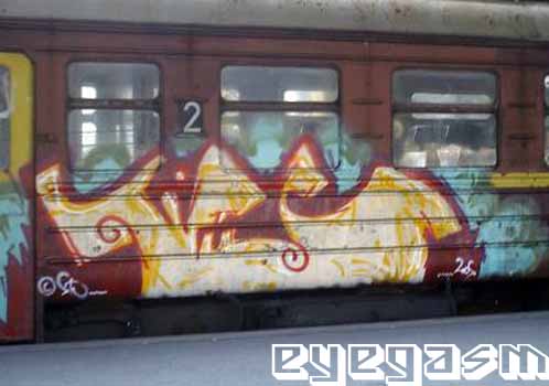 tifus03.jpg