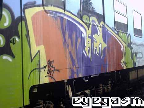 tifuz01.jpg