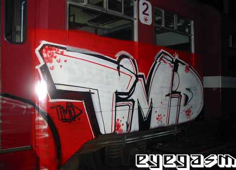 timid01.jpg