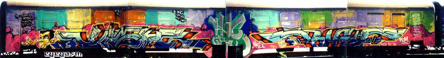 tish-bifi-wc01.jpg