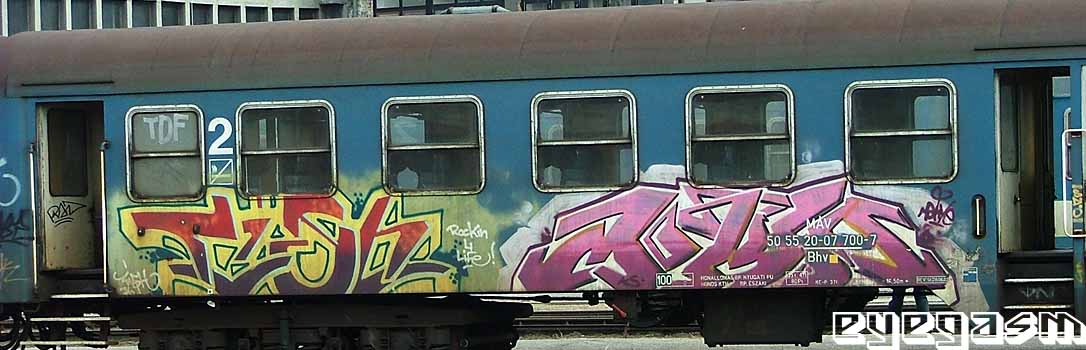 tish-mokia01.jpg