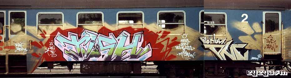 tish-pnc01.jpg