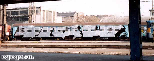 tish-wc01.jpg