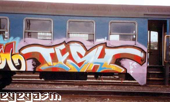 tish09.jpg
