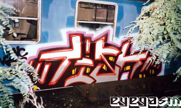 tish11.jpg