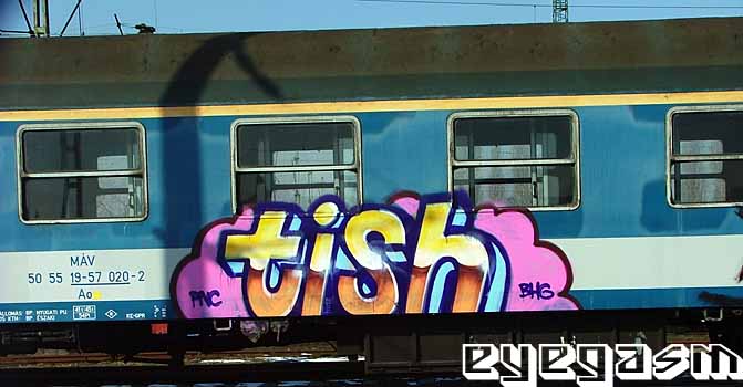 tish16.jpg