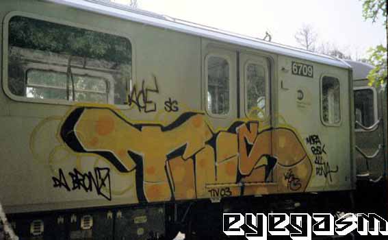 tivs02.jpg