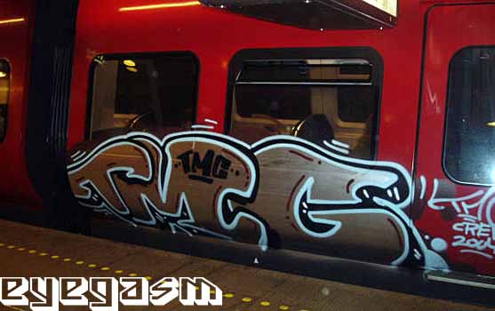 tmg01.jpg