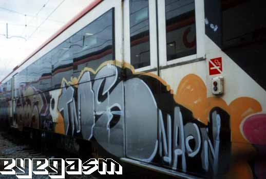 tms-naon01.jpg