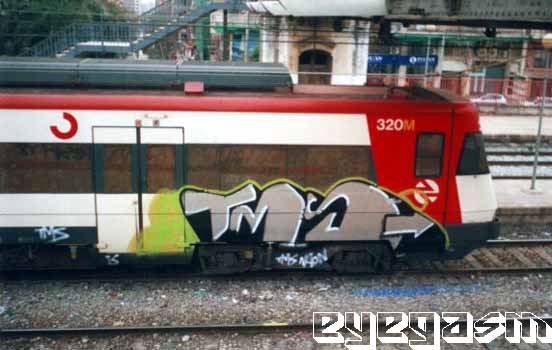 tms12.jpg