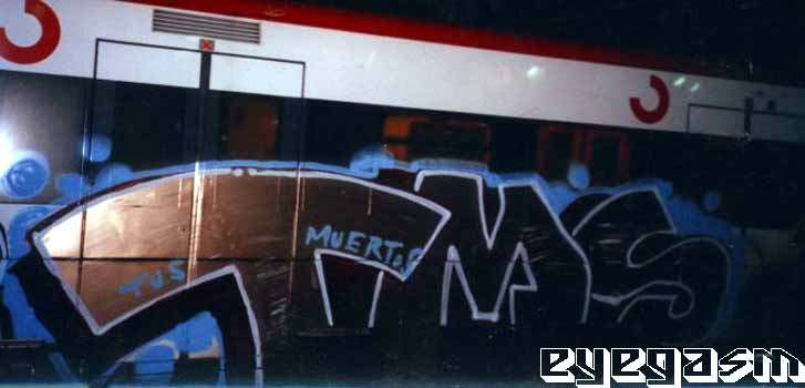 tms13.jpg