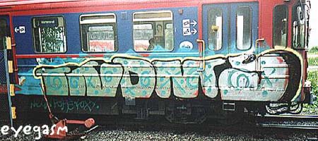 tndms01.jpg
